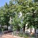 Bd 1 Decembrie, Minis, bloc caramida, reabilitat, 2/4, Barajul Bistritei